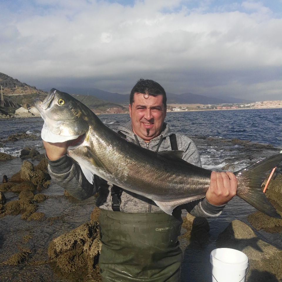 Trenzado SÍ, ¿pero cuál?  Pesca a spinning - tecnicas de pesca videos  fotos blog consultas